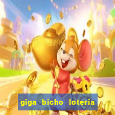 giga bicho loteria dos sonhos
